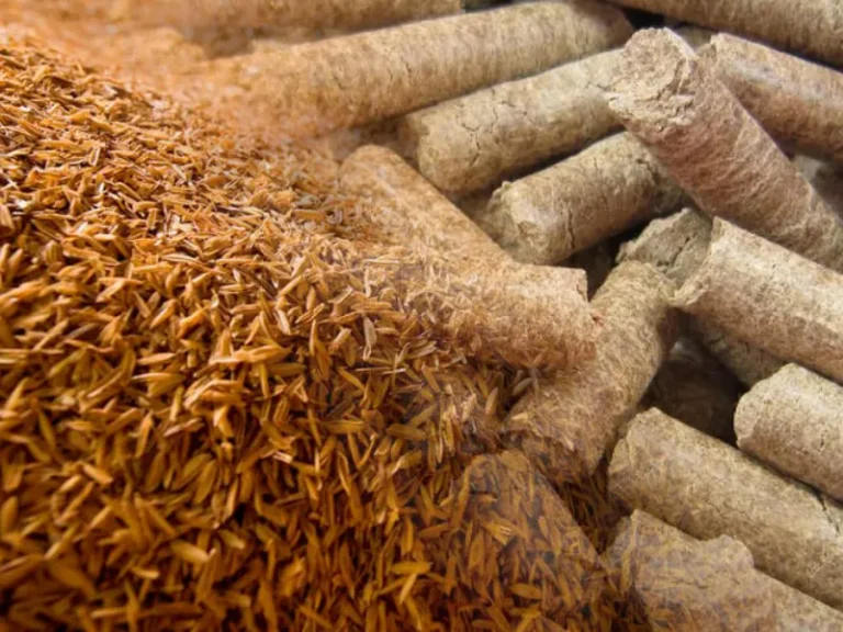 Rice Husk Pellet Machine: Unlocking Energy Value from Agricultural By-Products