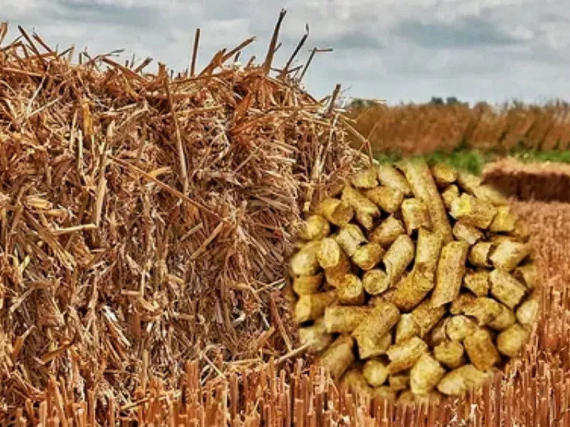 straw pellet and straw
