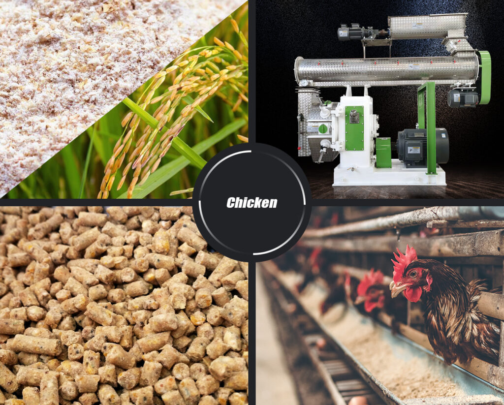 poultry feed pellet making machine