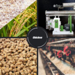 poultry feed pellet making machine