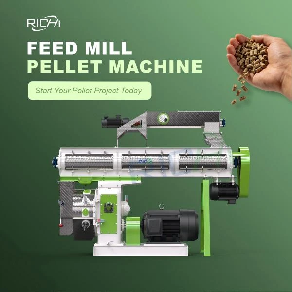 RICHI poultry feed pellet making machine