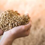 cattle feed pellets
