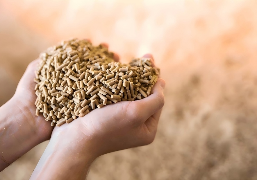 cattle feed pellets