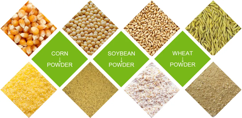 Various grain raw materials including corn, soybean and wheat powder used in livestock feed pellet production